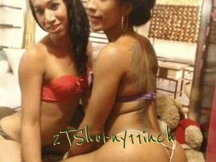 2TShorny11inch