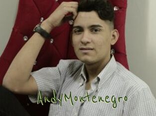 AndyMontenegro