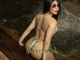 Amberbush