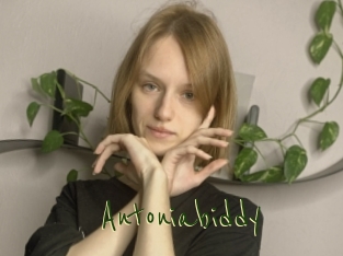Antoniabiddy