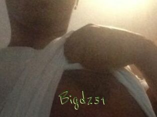 Bigd231