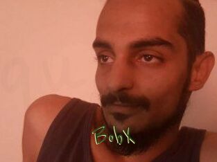 BobX