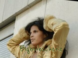 Bigboobscherie