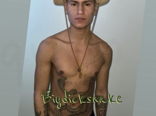 Bigdicksnake