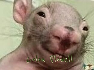 Colon_Plowell