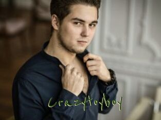 Crazytoyboy