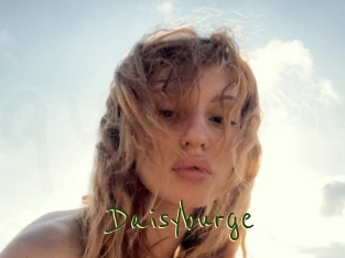 Daisyburge