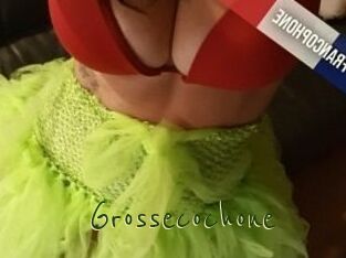 Grossecochone