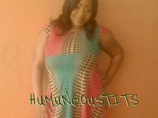 HUMUNGOUSTITS