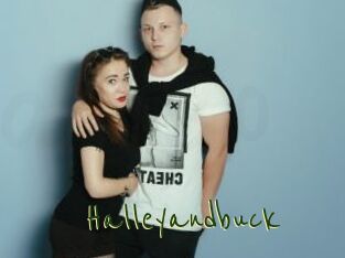 Halleyandbuck