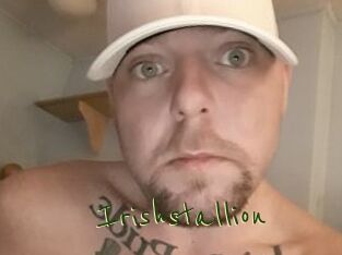 Irishstallion