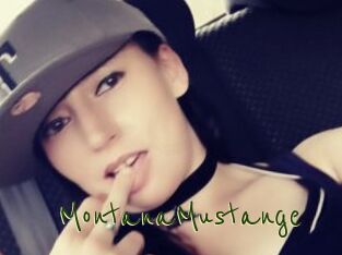 MontanaMustange