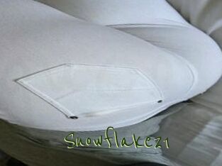 Snowflake21