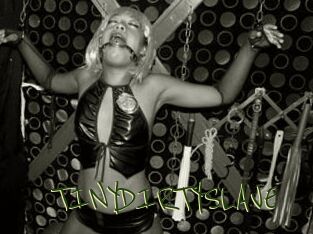 TINYDIRTYSLAVE