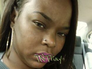 T_N_Ttiny