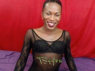 TS4you