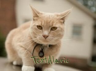 TestAlaric