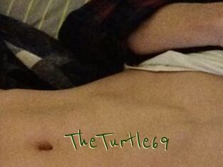 TheTurtle69
