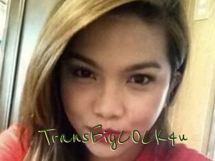 TransBigCOCK4u
