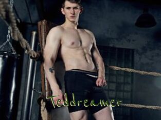 Teddreamer