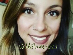 WildFlower023