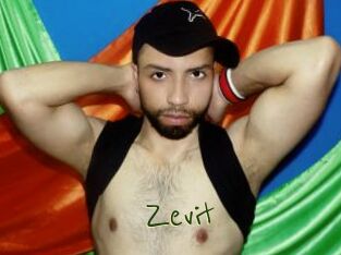 Zevit